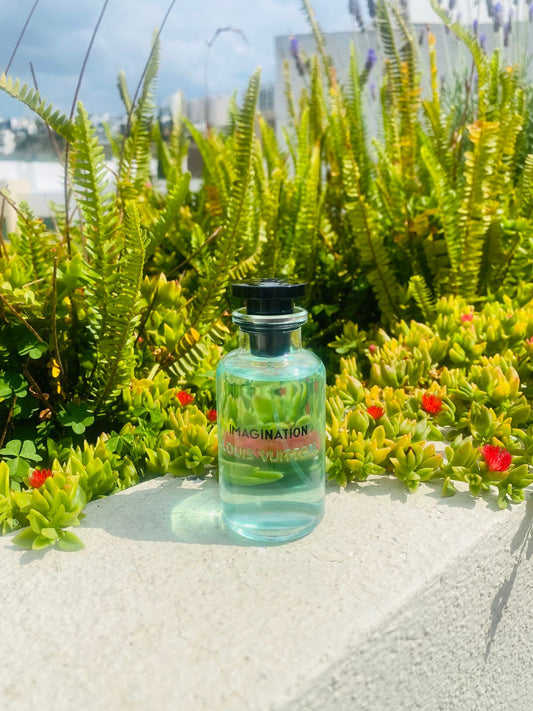 Louis Vuitton Imagination