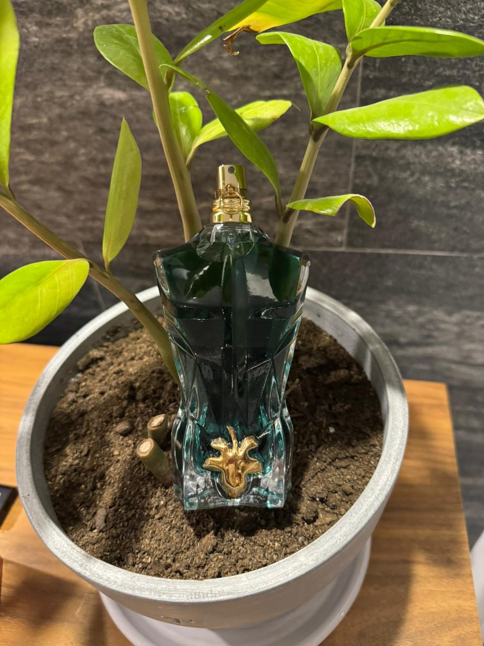 Jean Paul Gaultier Le Beau